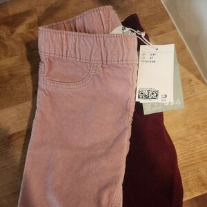 H&M Kids Corduroy Pants in Pink and Maroon